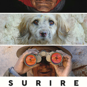 Surire