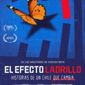 El efecto ladrillo